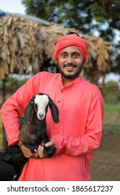 Indian Farmer In Goat Dairy Farm