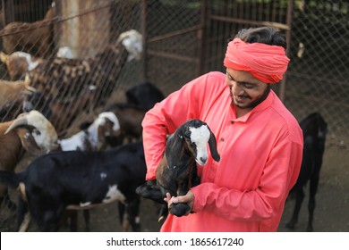 Indian Farmer In Goat Dairy Farm