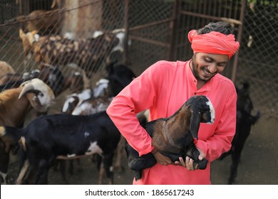 Indian Farmer In Goat Dairy Farm