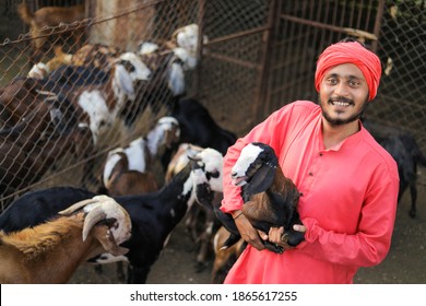 Indian Farmer In Goat Dairy Farm