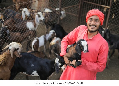 Indian Farmer In Goat Dairy Farm