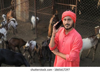 Indian Farmer In Goat Dairy Farm