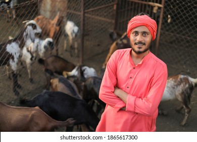 Indian Farmer In Goat Dairy Farm