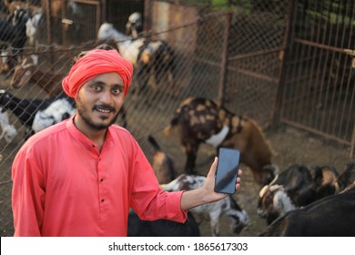 Indian Farmer In Goat Dairy Farm