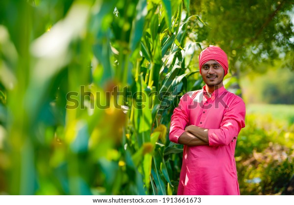 Indian farmer at green corn\
field