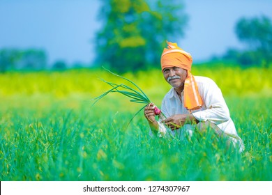 indian farmer at onion field
