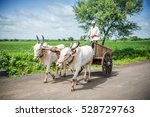 Indian farmer riding bullock cart, rural village, Salunkwadi, Ambajogai, Beed, Maharashtra, India.