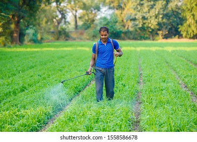 Indian farmer spraying pesticides in green wheat field 