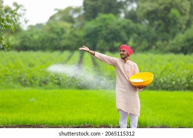 Indian Farmer Spreading Fertilizer In The Green Agriculture Field.