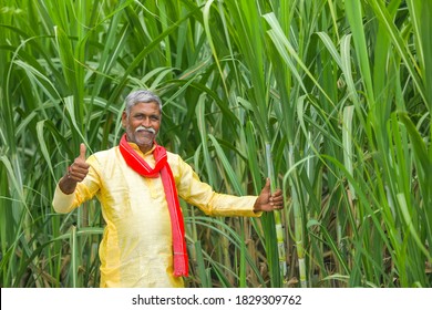 Indian farmer at sugarcane field
