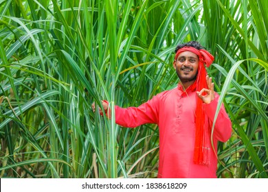 Indian Farmer At Sugarcane Field