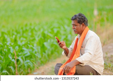 Indian Farmer Using Mobile Phone At Corn Field