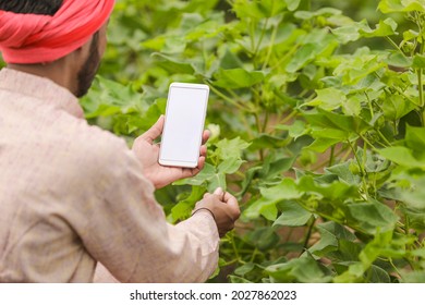 Indian farmer using smartphone at agriculture field. - Powered by Shutterstock