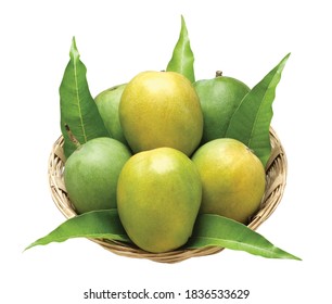 Indian fresh rajapuri mango with green leaves isolated on white background