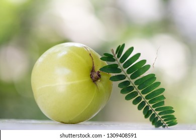  Indian gooseberry or amla, fresh fruits have medicinal properties and on natural background.