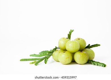 Indian gooseberry or amla fruit with leaf isolated on white background