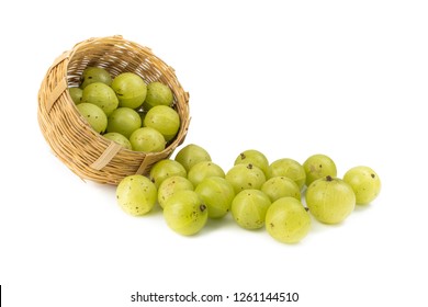 Indian gooseberry or amla green fruits from Emblic tree (Phyllanthus emblica) isolated on white background