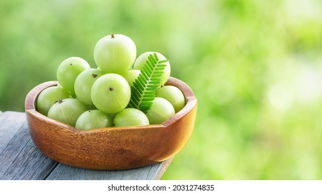 Indian Gooseberry or phyllanthus emblica fruits on nature background.