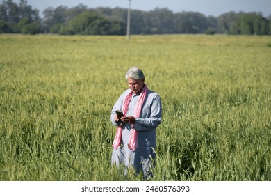 Indian happy senior farmer using mobile phone digital technology phone at green wheat agriculture field  - Powered by Shutterstock