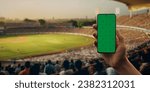 Indian male fan using phone during cricket game on a stadium, making bet. Online bookmaker, making bets on the internet