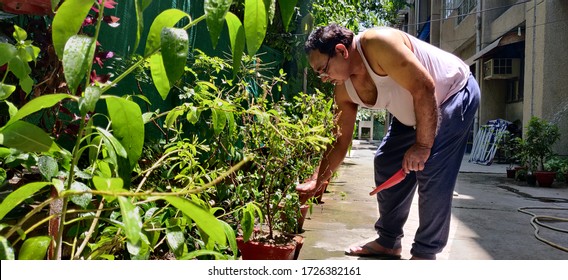 Indian Middle Aged Man Gardening In Sunlight Wearing Inner And Sweatpants During Work From Home In Lock Down Due To Corona Virus Pandemic 2020