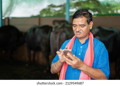 Indian Milk Dairy Farmer Busy Using Mobile Phone At Farm House - Concept Of Technology, Internet And Small Agri-business.