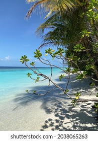 Indian Ocean, Maldives, Baa Atoll