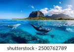 Indian Ocean, Mauritius Whales and sperm whales and vibrant coral reefs and sea Turtles. Mauritius island under waterfall, Mauritius undersea, Mauritius sea