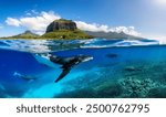 Indian Ocean, Mauritius Whales and sperm whales and vibrant coral reefs and sea Turtles. Mauritius island under waterfall, Mauritius undersea, Mauritius sea