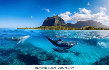 Indian Ocean, Mauritius Whales and sperm whales and vibrant coral reefs and sea Turtles. Mauritius island under waterfall, Mauritius undersea, Mauritius sea