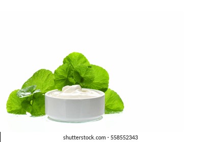 Indian Pennywort (Centella Asiatica (L.) Urban.) Anti-aging Skin Care Product.