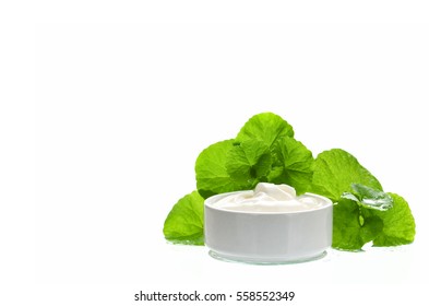 Indian Pennywort (Centella Asiatica (L.) Urban.) Anti-aging Skin Care Product.