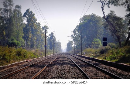 Indian Railway In Middle of The Forest - Shutterstock ID 592856414