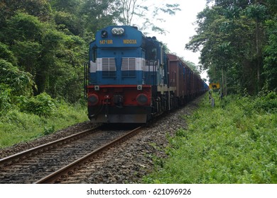 Indian Railway, Rail Passing Through Rain Forest Of Gibbon Wildlife Sanctuary.