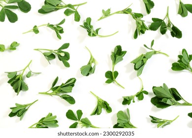 indian region cuisine herb fresh fenugreek leaves harvest from garden for fenugreek masala curry in white background,as leaves texture food background