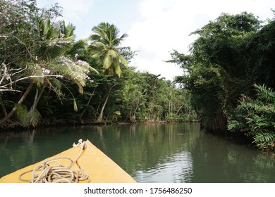 Indian River On The West Coast Of Dominica