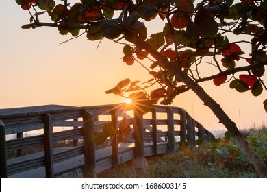 Indian Rocks Beach Florida Sunset and wooden footbridge
