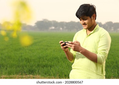 Indian rural happy farmer boy in a village surfing on the phone in a mustard field in a green farm yellow flowers.