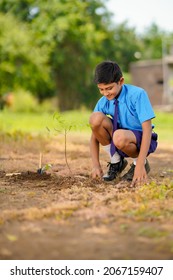 Indian School Child Doing Tree Plantation.