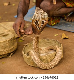 Indian Snake Charmer