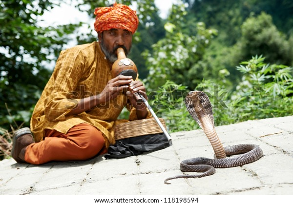 Indian Snake charmer adult man\
in turban playing on musical instrument before snake at a\
basket