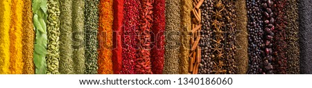Indian spices and herbs as background. Seasonings texture for website header.
