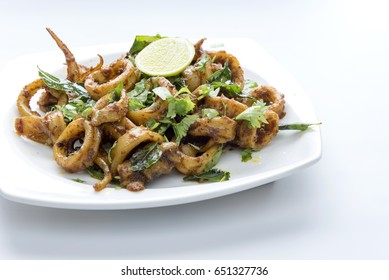 1,574 Indian squid Images, Stock Photos & Vectors | Shutterstock