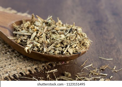 Indian Spikenard On Wooden Spoon