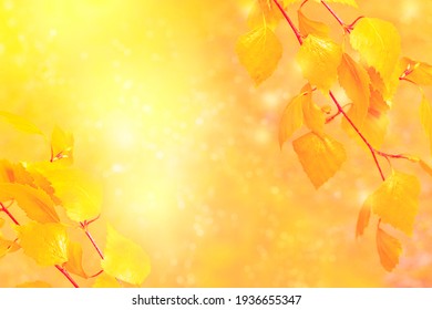 Indian summer. Beautiful autumn landscape with yellow trees and sun. Colorful foliage in the park. Falling leaves natural background.  - Shutterstock ID 1936655347