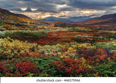 Indian Summer in the Mountains of Northern Sweden