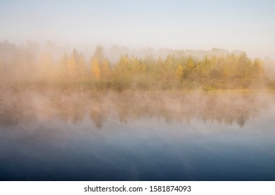 Coral Fossil Hd Stock Images Shutterstock