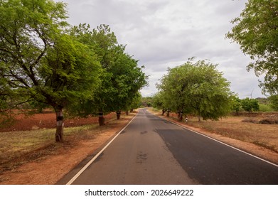 Indian Village Green - Clean Curve Roads Surrounded By The Green Trees And Fresh Oxygen Environment Roads With Out Pollution. Village Roads Surrounded By The Form Agriculture Land And Wind Mills.