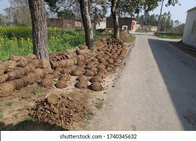 Indian Village In Punjab, Life In Village 