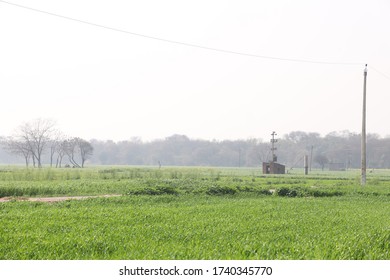 Indian Village In Punjab, Life In Village 